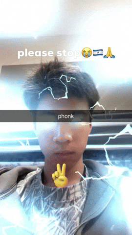 Sigma Please Stop GIF