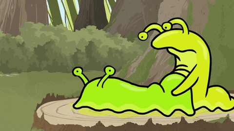 giphy.gif