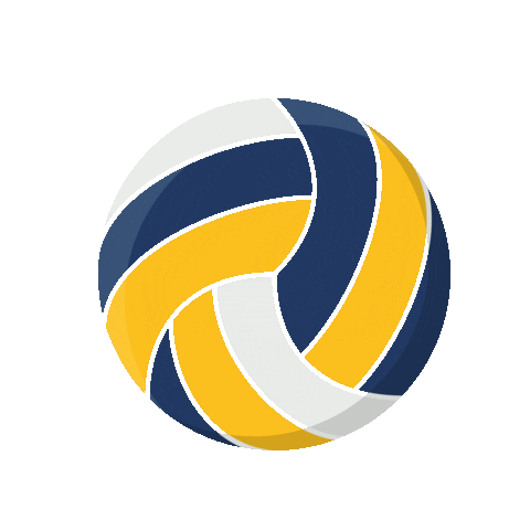 Westerwald Volleys Sticker