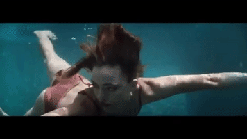 Zedd GIF by aficia 
