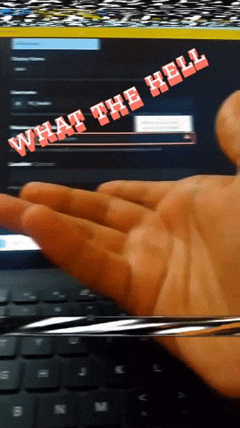 What The Hell GIF