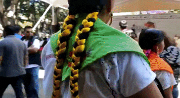 Mexico GIF