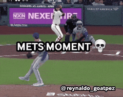 New York Mets Baseball GIF