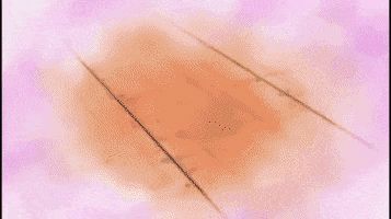 One Piece GIF