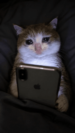 Sad GIF