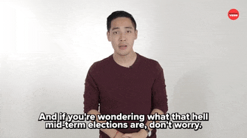 Midterm Elections Politics GIF by BuzzFeed