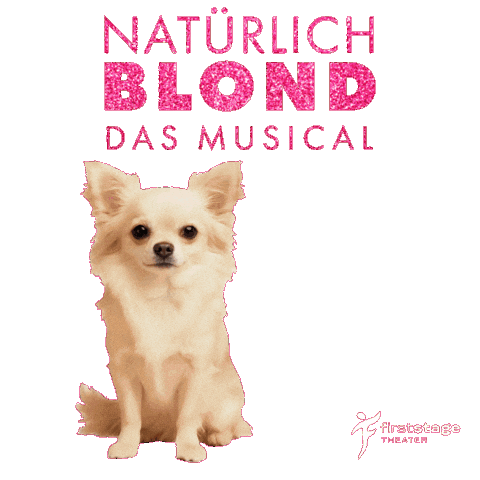 First Stage Sticker by Stage School Hamburg