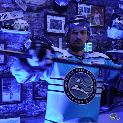 Celebration GIF by Quad City Storm