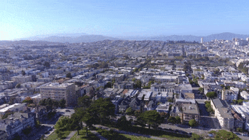 San Francisco City GIF by Yevbel