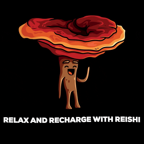 Fungies Mushroom Gummies GIF