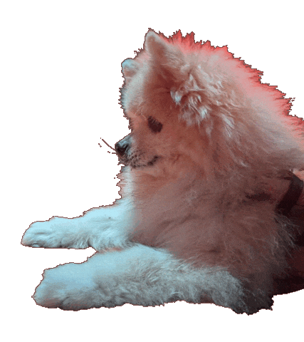 Hungry Puppy Sticker by Munjo Munjo