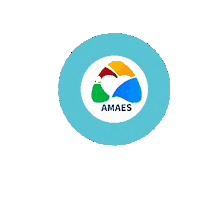 Amaesnamidia Sticker by Amaes
