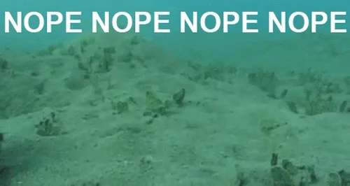 octopus scariest shit ever GIF