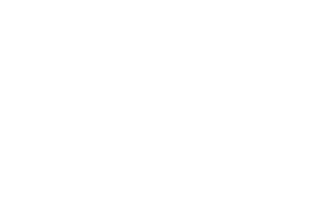 Dornsife Sticker by USC