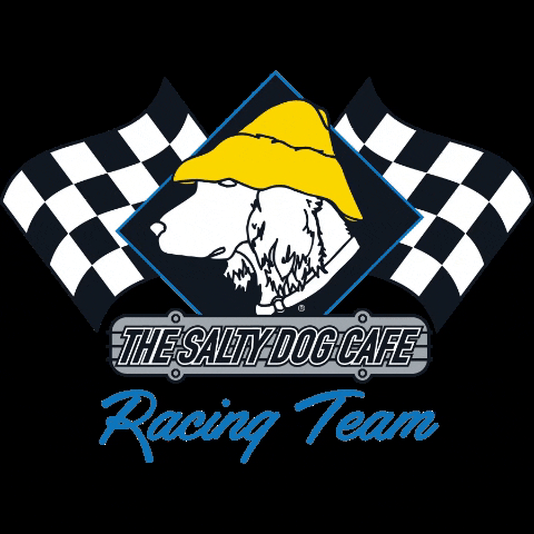 Race Team Racing GIF by saltydogcafe