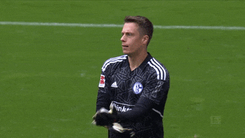 Football Weiter GIF by FC Schalke 04