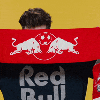 Peek-A-Boo Fifa Gaming GIF by Red Bull