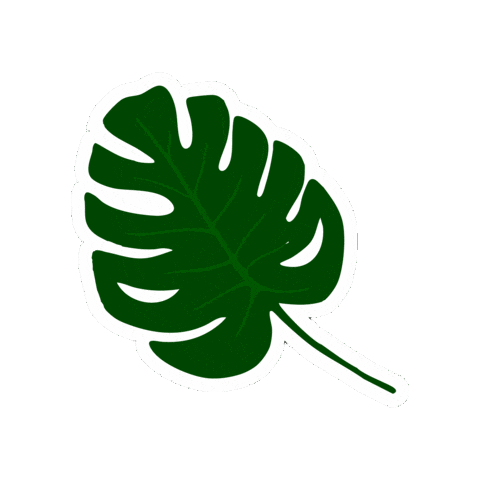 Summer Festival Sticker by SavannaCider