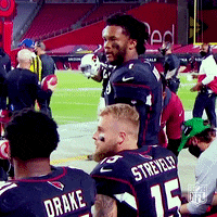 Motivate Lets Go GIF by NFL