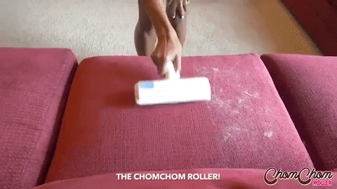 Chomchom-roller GIFs - Get the best GIF on GIPHY