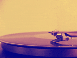 Jeremy Berman Put-In-Bay GIF