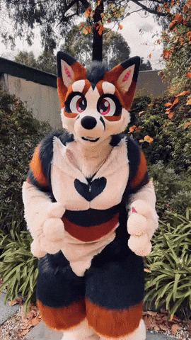Morning Hello GIF