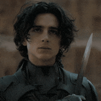 Protect Timothee Chalamet GIF by Dune Movie