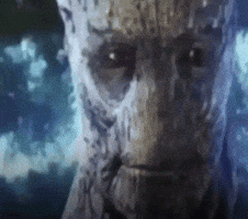React GIF