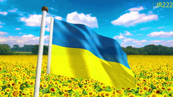 Ukraine GIF by joelremy222