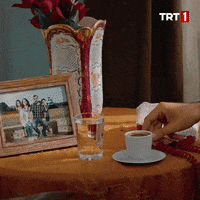 Coffee Sampiyon GIF by TRT