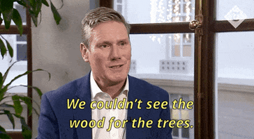 labour party keir starmer GIF
