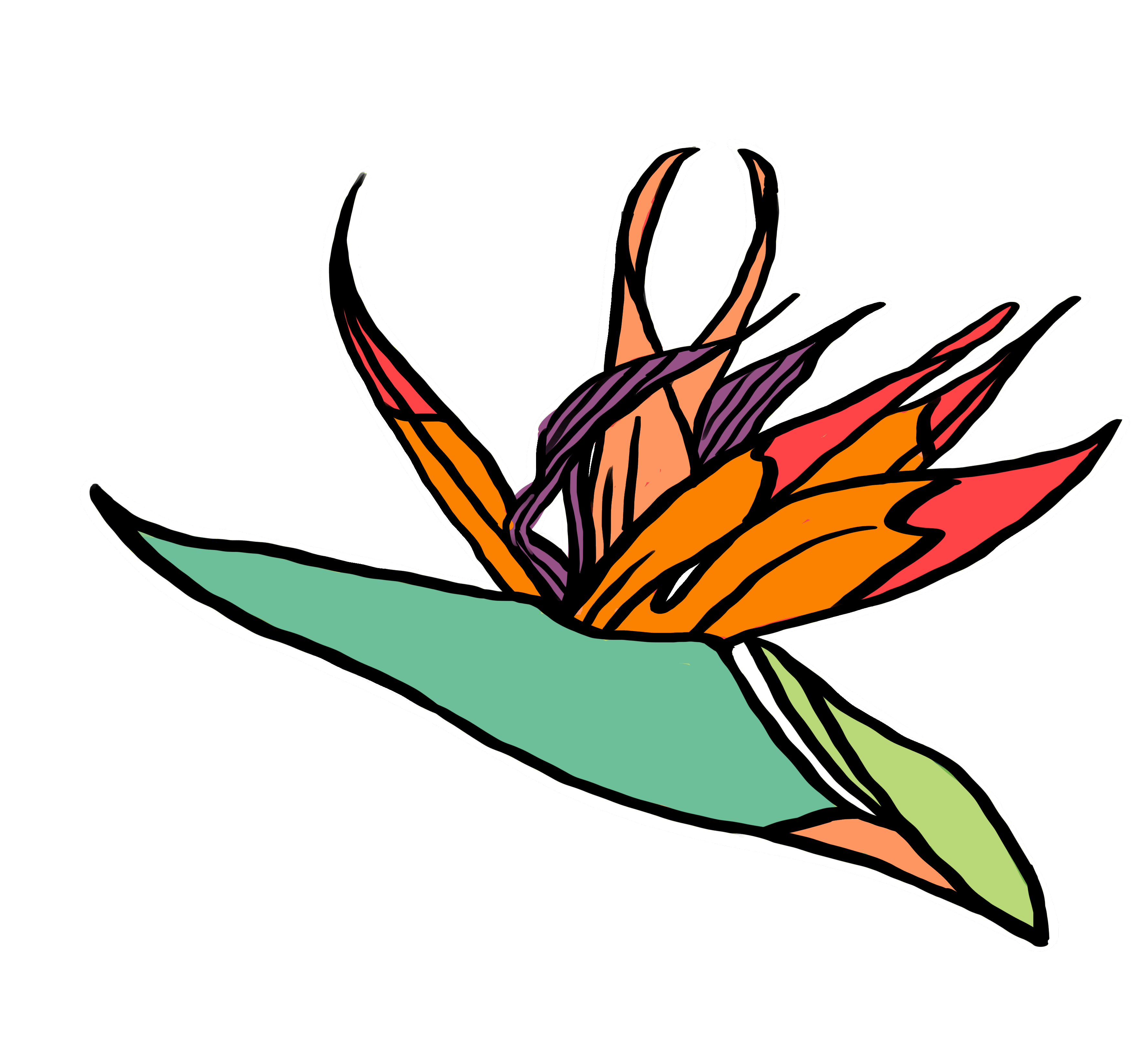Bird Of Paradise Flower Sticker for iOS & Android GIPHY