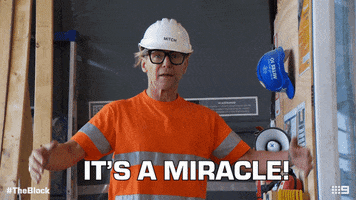 Channel 9 Miracle GIF by The Block