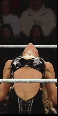 Wwe Wrestling GIF