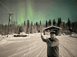 Orion Willis GIF