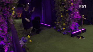 Westminster Dog Show Winner GIF by Westminster Kennel Club