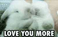 Love You More Gifs Get The Best Gif On Giphy Love You More Gifs Get The Best Gif On Giphy
