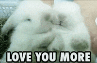 I Love You More Than Anything Gifs Get The Best Gif On Giphy