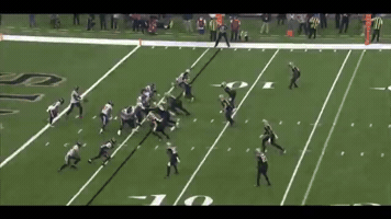 Nfl GIF