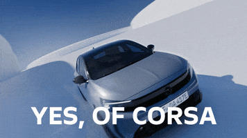 Car Driving GIF by Opel
