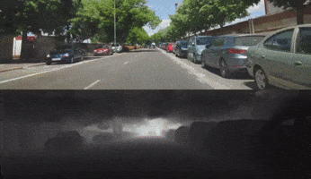 Fastdpt GIF