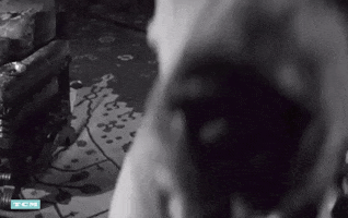 Bette Davis Dog Attack GIF by Turner Classic Movies