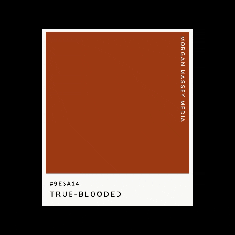 Morgan Massey Media GIF