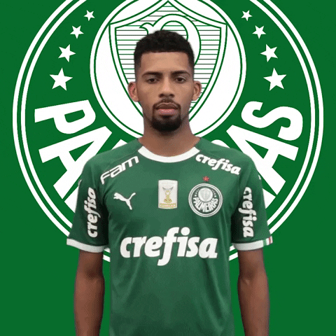 Palmeiras soccer style futebol handsome GIF