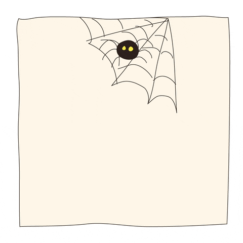 Halloween Spider GIF by Lowi