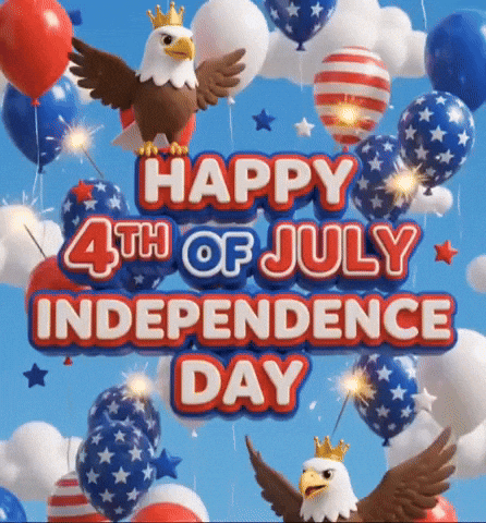 United States Usa GIF