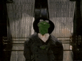 snooty kermit the frog GIF