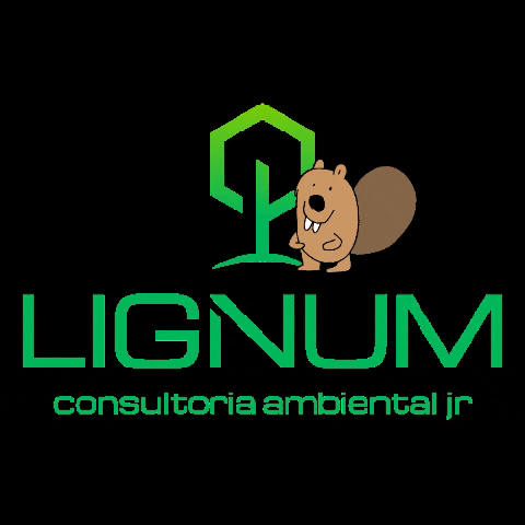 Consultoria Empresajr GIF by Lignum Ambiental Jr.