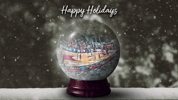 Merry Christmas GIF by Leicester Riders