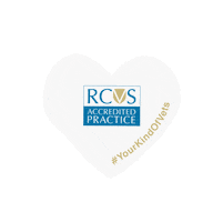 Heart Selfie Sticker by theRCVS